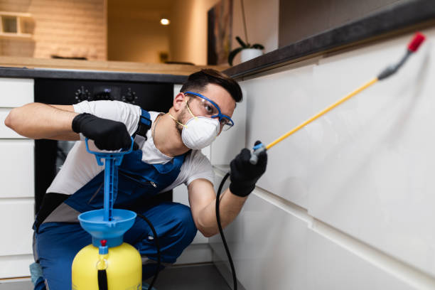 Best Flea Control Services  in Lake Helen, FL