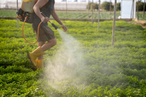 Best Ant Control Services  in Lake Helen, FL
