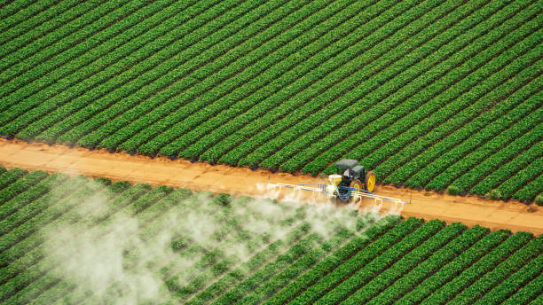 Best Local Pest Control Services  in Lake Helen, FL
