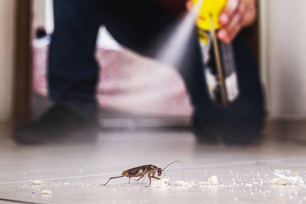 Wildlife Control Services in Lake Helen, FL